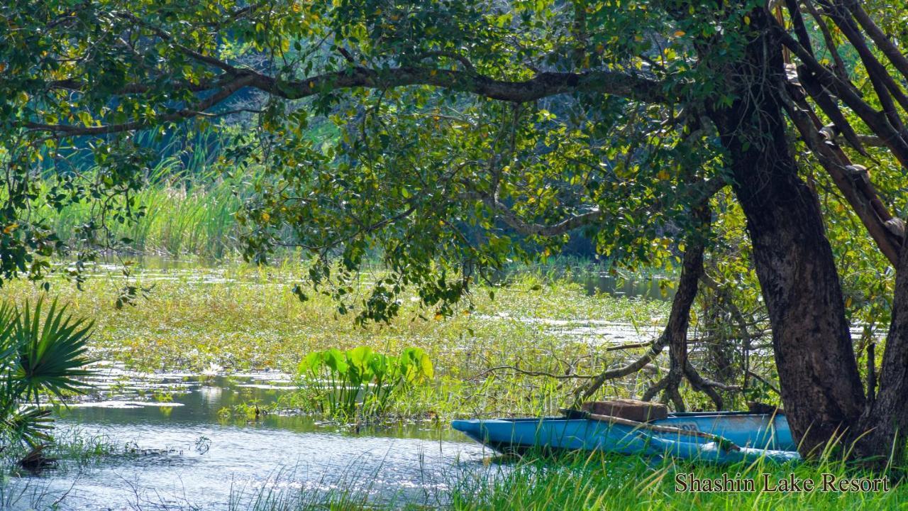 Shashin Lake Resort Dambulla Zewnętrze zdjęcie